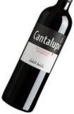 CONTI ZECCA Cantalupi Negramaro IGT 2009