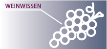 Weinwissen von Vineola.de