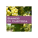 Bianco di Custoza