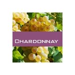 Chardonnay