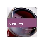 Merlot