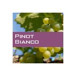 Pinot Bianco