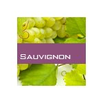 Sauvignon