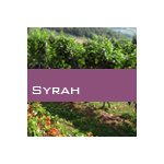 Syrah