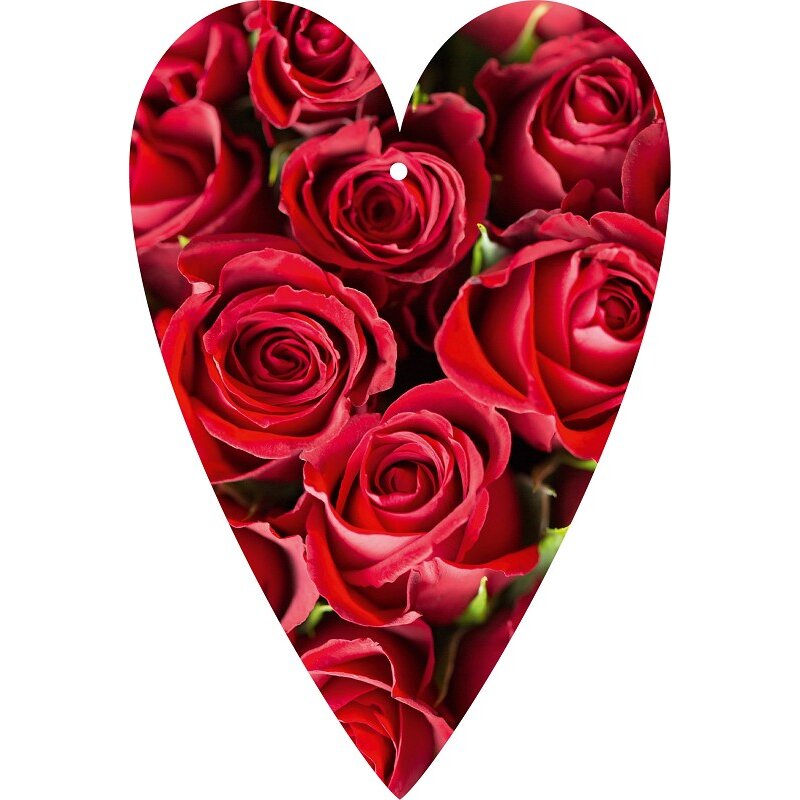 Herzkarte Unsere Finne 'Herzlichen Glückwunsch' - Rote Rosen