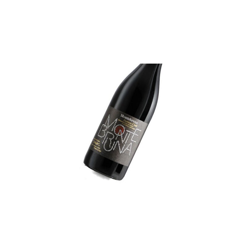 BRAIDA Montebruna Barbera D´Asti 2020 DOC