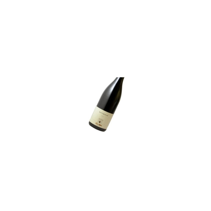 NINO NEGRI Sfursat Valtellina Superiore 2016 DOCG