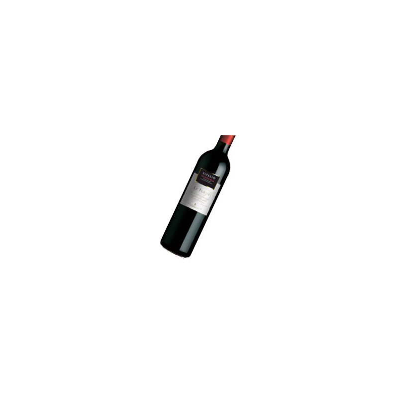 CANTINA DI SOAVE Le Poesie Valpolicella Ripasso 2017 DOC